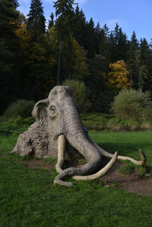 Pension Najdek Žďár nad Sázavou Esterno foto